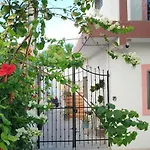 Gacelita Cozumel