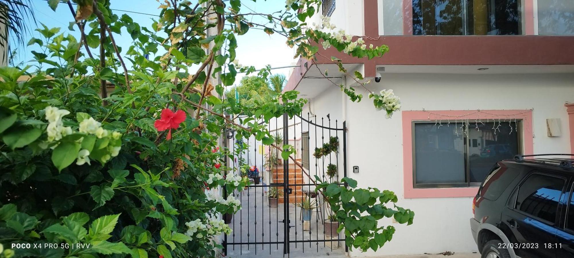 Gacelita * Cozumel