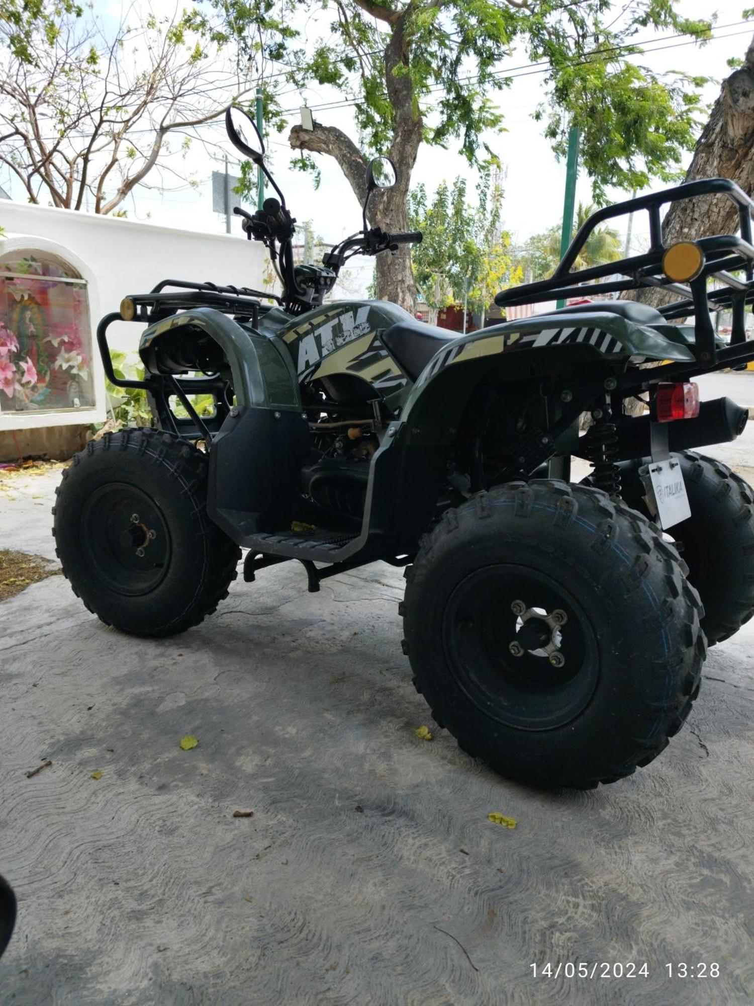 Gacelita Cozumel