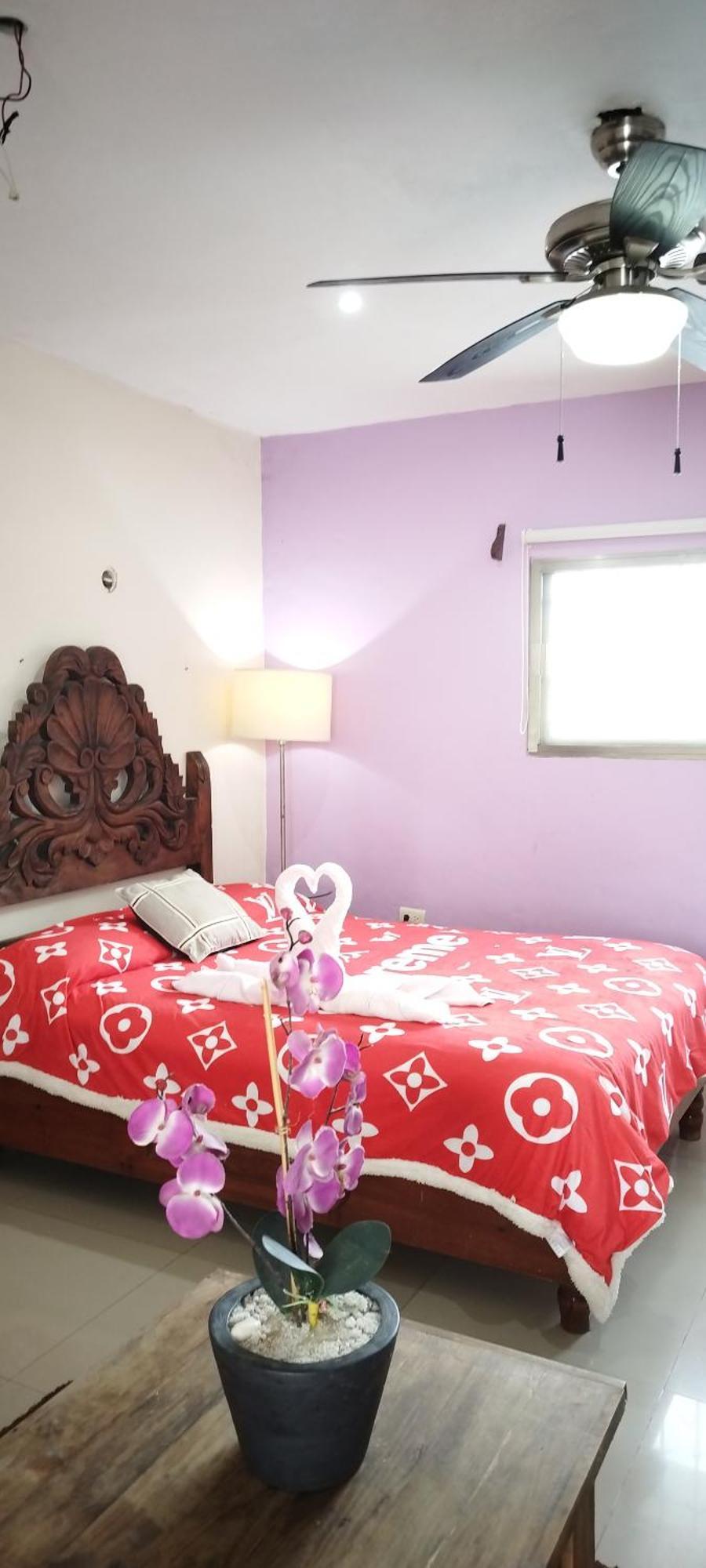 Apartment Gacelita