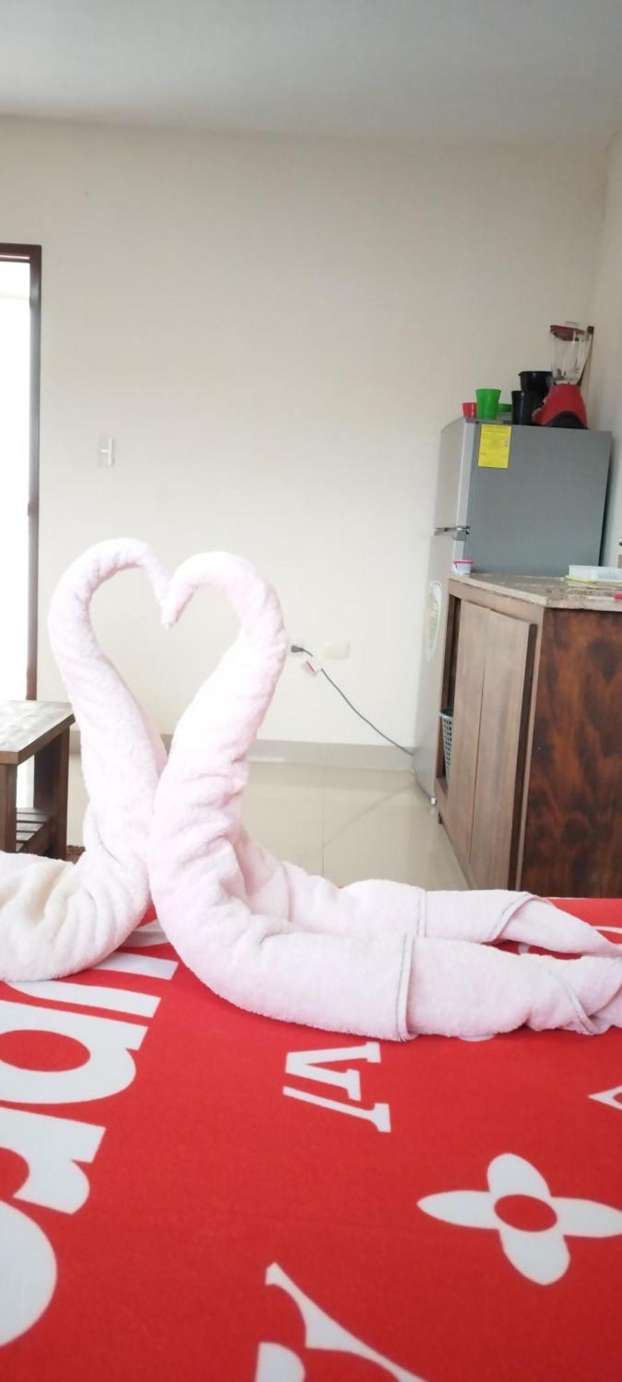 Gacelita *